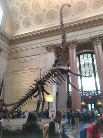 NYC_AMNH2